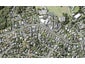 48C Sunrise Avenue, Mairangi Bay, Auckland - Carousel 1