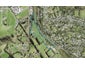 10A Anzac Valley Road, Waitakere, Auckland - Carousel 1