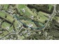 436 Paremoremo Road, Paremoremo, Auckland - Carousel 1