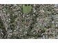 19 Cunliffe Place, Glenfield, Auckland - Carousel 1