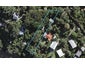 18 Omiha Road, Omiha, Waiheke Island - Carousel 1