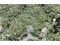 471 Scenic Drive, Waiatarua, Auckland - Carousel 1
