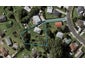 7 Birch Place, Otara, Auckland - Carousel 1