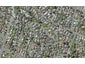 1/10 Sirius Place, Botany Downs, Auckland - Carousel 1