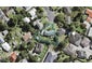 10 Judith Place, Titirangi, Auckland - Carousel 1