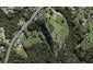 341 Upper Harbour Drive, Greenhithe, Auckland - Carousel 1