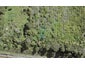 7 Te Uru Huarakau Lane, SWANSON - Carousel 1