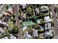 1 Annan Street, Herne Bay, Auckland - Carousel 1
