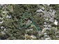 20 Paris Place, Birkenhead, Auckland - Carousel 1