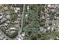 45 Ngamotu Road, Moturoa, New Plymouth - Carousel 1