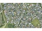 2 Humber Crescent, Gate Pa, Tauranga - Carousel 1