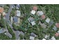 2 Salisbury Garden Court, Wadestown, Wellington - Carousel 1