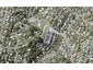 95 Bayside Drive, Browns Bay, Auckland - Carousel 1