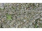 7B Marendellas Drive, Bucklands Beach, Auckland - Carousel 1