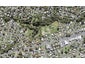 11 Hava place, Green Bay, Auckland - Carousel 1