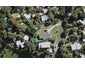 5 Bay Road, Ostend, Waiheke Island - Carousel 1