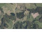 0 Kukunui Road, Springfield, Whangarei - Carousel 1