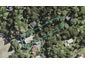 4 Aydon Road, Titirangi, Auckland - Carousel 1