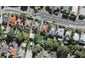20 Sandringham Road, Mount Eden, Auckland - Carousel 1