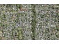 94 Glendale Road, Glen Eden, Auckland - Carousel 1
