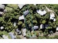 2/21 Taunton Terrace, Blockhouse Bay, Auckland - Carousel 1