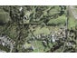 34B Kewa Road, Albany Heights, Auckland - Carousel 1