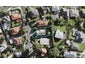 6 Kirkwood Place, New Windsor, Auckland - Carousel 1
