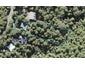 727 Scenic Drive, Henderson Valley, Auckland - Carousel 1