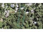 53 Western Road, Laingholm, Auckland - Carousel 1