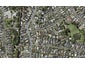 7A Archdall Street, Meadowbank, Auckland - Carousel 1