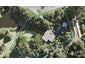 86 Durey Road, Dairy Flat, Albany - Carousel 1
