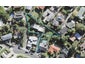 1/19 King Richard Place, Browns Bay, Auckland - Carousel 1