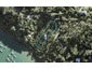 52 Riverhaven Drive, Wade Heads, Whangaparaoa - Carousel 1