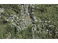 4 Grendon Road, Titirangi, Auckland - Carousel 1
