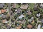 5 Chatswood Grove, Chatswood, Auckland - Carousel 1