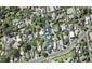67 Park Rise, Campbells Bay, Auckland - Carousel 1