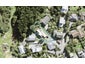 91F Wade River Road, Stanmore Bay, Whangaparaoa - Carousel 1
