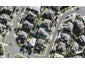 4 Tekapo Rise, Fairview Heights, Auckland - Carousel 1