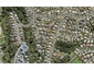 24 Canary Place, Unsworth Heights, Auckland - Carousel 1