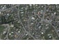 13 Westenra Terrace, Cashmere, Christchurch - Carousel 1