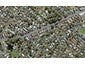 810B New North Road, Mount Albert, Auckland - Carousel 1