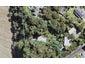 15 Arapito Road, Titirangi, Auckland - Carousel 1