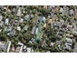 22B Grange Road, Mount Eden, Auckland - Carousel 1
