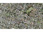 47 Miro Street, New Lynn, Auckland - Carousel 1
