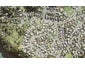 16 Kestrel Heights, Arkles Bay, Whangaparāoa - Carousel 1