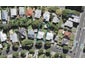 3 Altham Avenue, Mount Eden, Auckland - Carousel 1