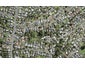 1/17B Eastglen Road, Glen Eden, Auckland - Carousel 1