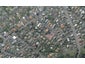14A Sheen Street, Roslyn, Dunedin - Carousel 1
