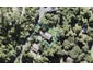 350 Forest Hill Road, Waiatarua, Auckland - Carousel 1