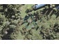 31 Baker Street, Fairview Heights, Auckland - Carousel 1